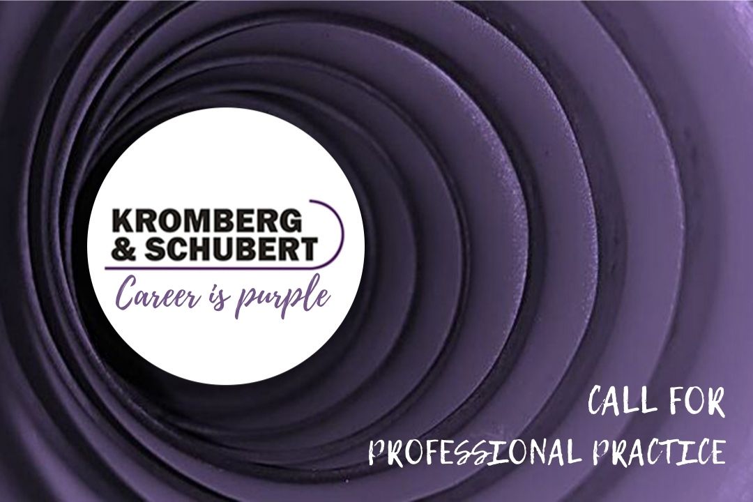 PROFESSIONAL PRACTICE IN KROMBERG & SCHUBERT COMPANY
